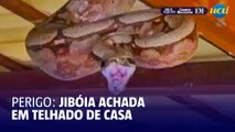Jiboia encontrada em telhado de varanda na cidade de Formiga