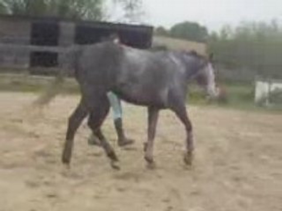 Onyx le 4 maiiiii