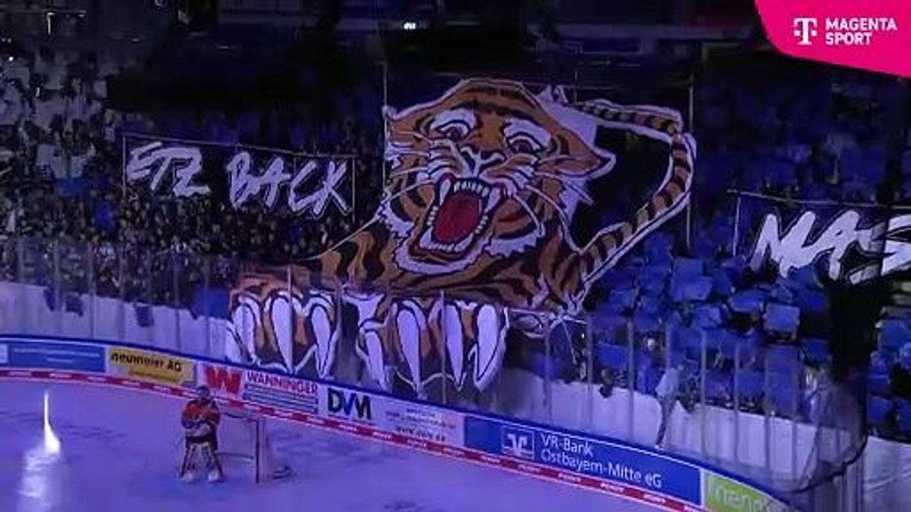 Highlights von Straubing Tigers - Löwen Frankfurt
