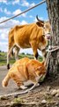 Cat😼 and Cow🐮 story... By AI CATS STORIES.