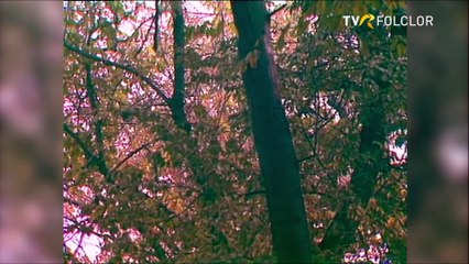 Vasilica Dinu - Neica, pentru dumneata (arhiva TVR)