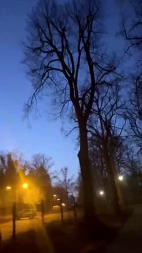 The Cheerful chirps of birdies