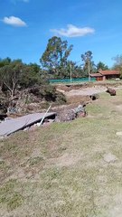 Derrumbe de puentes sobre el arroyo Napostá en Fuerte Argentino