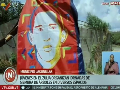 Zulia | Jóvenes ecologistas organizan jornadas de siembras de árboles