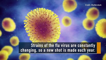 Facts:  Flu Shot And Side Effects