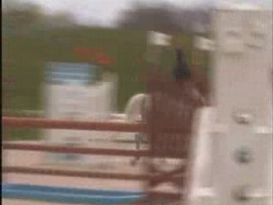 Mathilde & Milton CSO Cl1 20/04/08 Ozoir