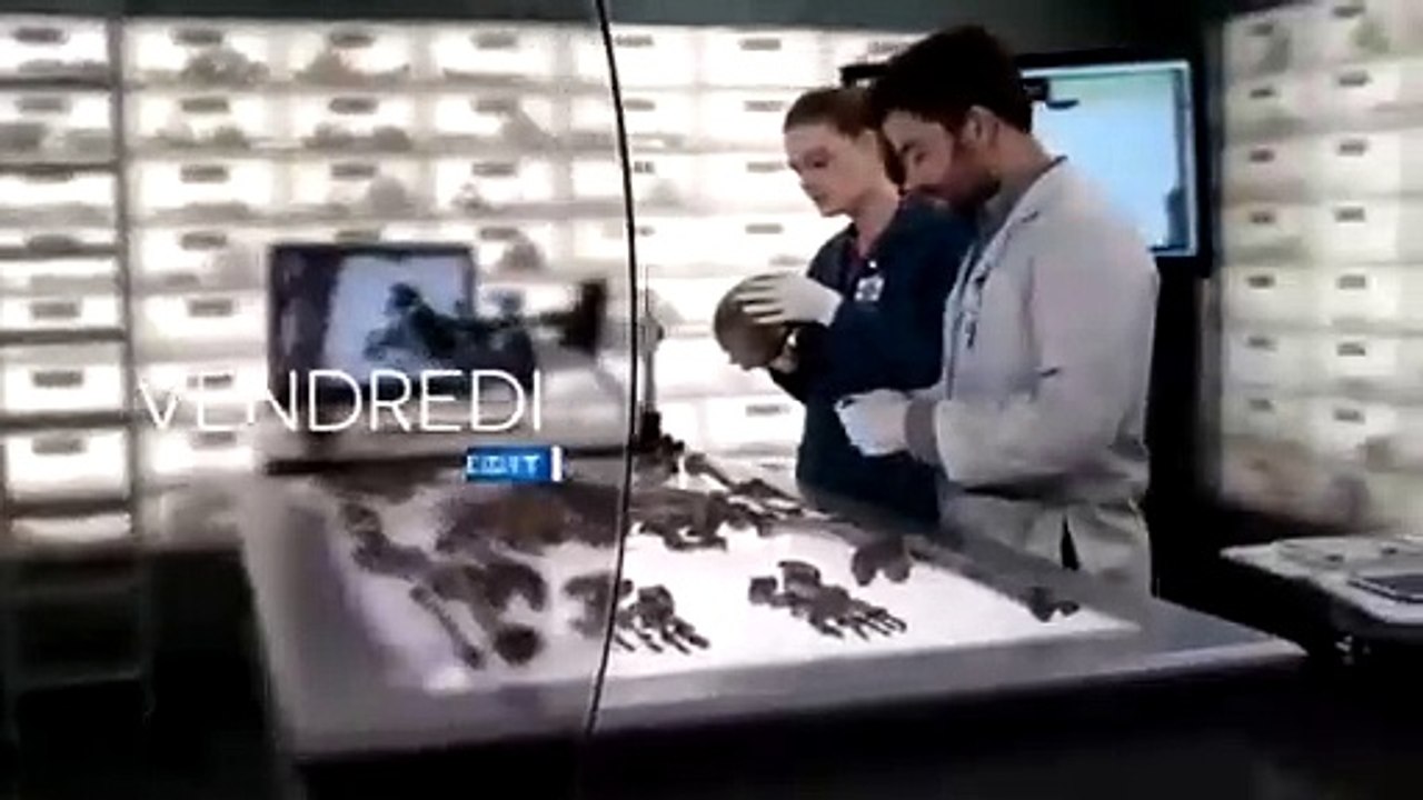 Bones