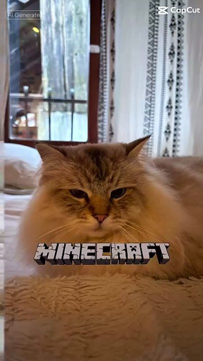 Quand ton Maine Coon se transforme en chat Minecraft… 😼 - Vidéo Dailymotion