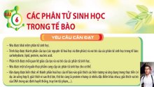 Sinh 10 - Trắc nghiệm 4 lựa chọn Bài 6 Các phân tử sinh học trong tế bào
