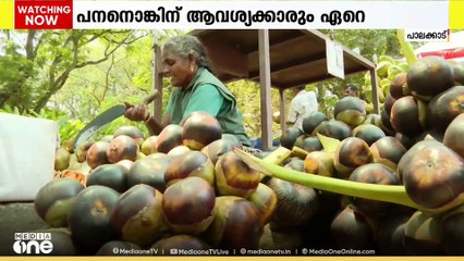 പൊള്ളുന്ന ചൂടിനെ തണുപ്പിക്കാൻ പനനൊങ്ക് വിപണി, ആവശ്യക്കാരും ഏറെ