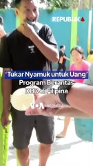 Berantas DBD, Filipina Gencarkan Program Satu Nyamuk Satu Peso
