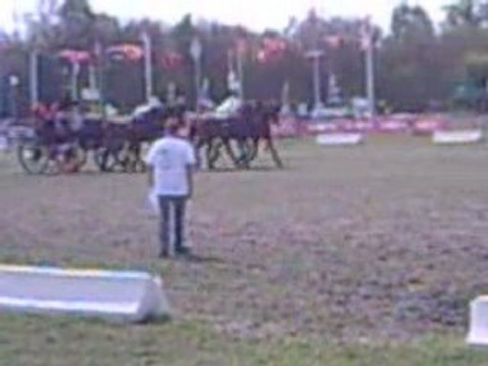 PICT0022