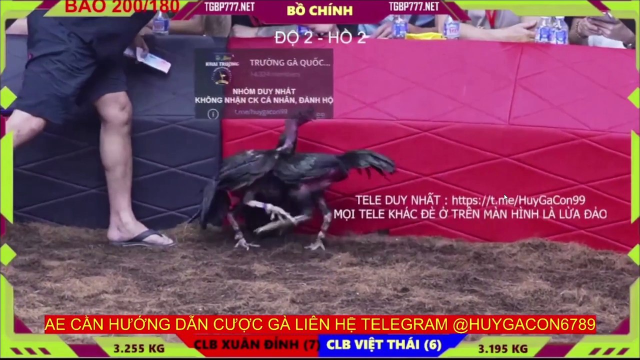 Cúp mini FC Xuân Đỉnh - FC Việt Thái (Hồ 2)
