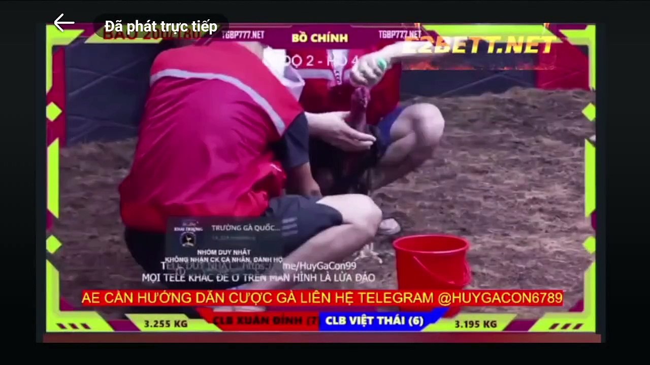 Cúp mini FC Xuân Đỉnh - FC Việt Thái (Hồ 5)