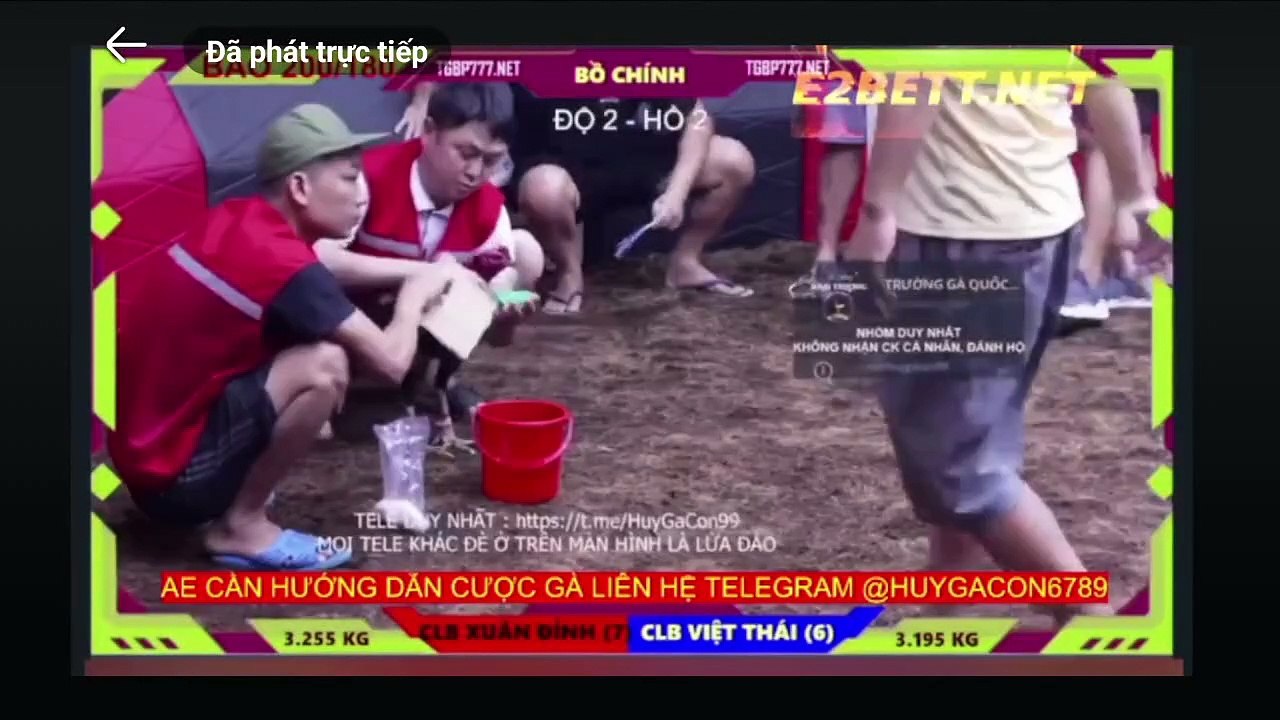 Cúp mini FC Xuân Đỉnh - FC Việt Thái (Hồ 4)