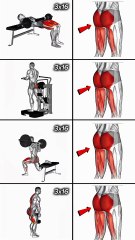 Glutes Workout For Men At Gym