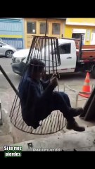 Videos de risa - si te ries pierdes 🤣 PARTE 3