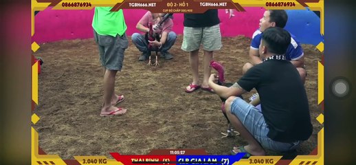 Siêu cúp 500-400  Khải Râu Thái Bình - FC Gia Lâm (Hồ 1)