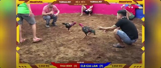 Siêu cúp 500-400  Khải Râu Thái Bình - FC Gia Lâm (Hồ 5)