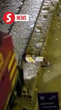 Man survives after being run over by a train in Peru