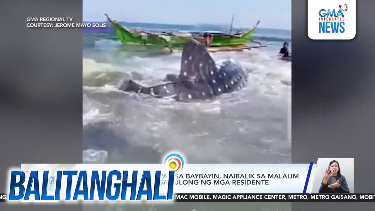 Butanding na napadpad sa baybayin, naibalik sa malalim na bahagi ng dagat sa tulong ng mga residente | Balitanghali