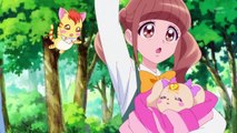 [Sub Esp] Healin' Good♥Pretty Cure - Episodio 11