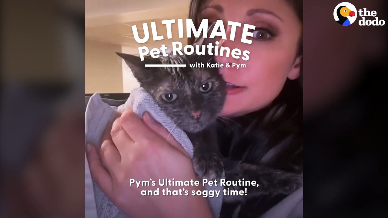 Kitten Loves Her Shower Time, We Swear