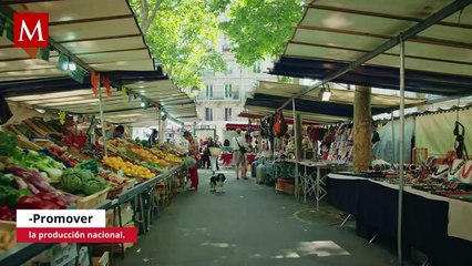 Sheinbaum revela estrategia para contrarrestar aranceles: Estos son los 5 puntos fundamentales