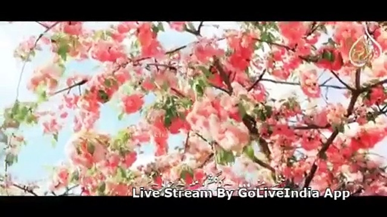 اللہ تعالیٰ کا ایسا حمد وثناء آپ نے کبھی نہیں سنا # video virl# ں