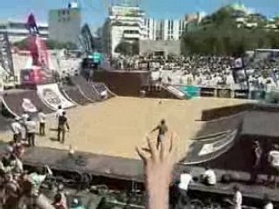 Fise 2008