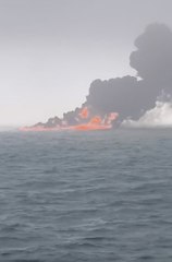 Toxic substances could endanger hundreds of thousands of birds along Yorkshire coast says Wildlife Trust