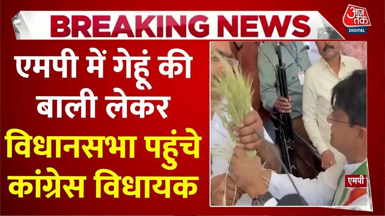 विधानसभा में गेहूं की बाली लेकर घुसने की कोशिश, कांग्रेस विधायक और सुरक्षाकर्मियों में धक्का-मुक्की