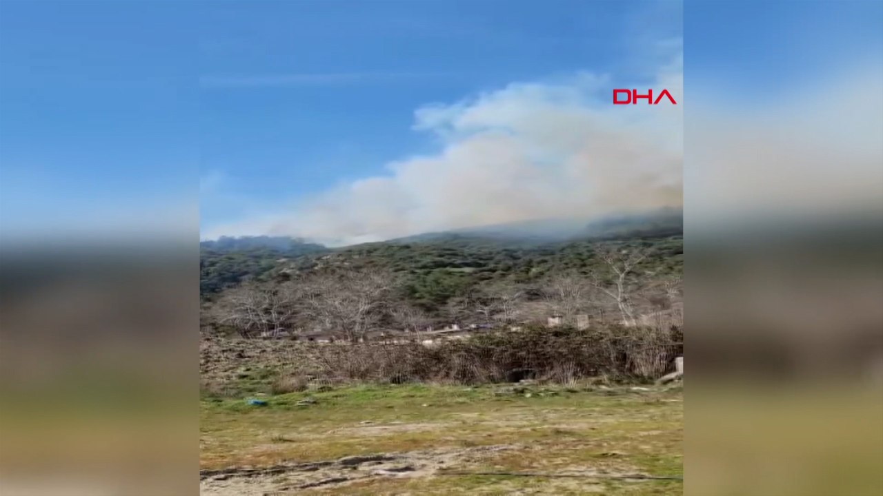 Çanakkale'nin Eceabat ilçesinde orman yangını