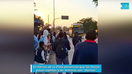 En barrios de La Plata denuncian que los micros pasan repletos y las demoras son "eternas"