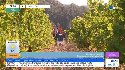 ECO D'ICI - Face à la crise viticole, les caves Vinovalie et Labastide fusionnent dans le Tarn