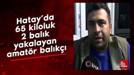 Hatay’da 65 kiloluk 2 balık yakalayan amatör balıkçı