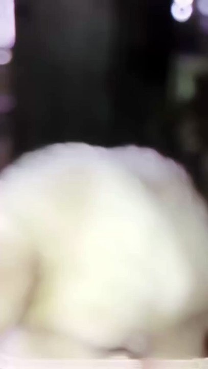 i am a cute puppy