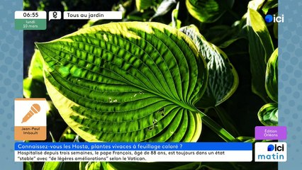 10/03/2025 - ici matin par ici Orléans en vidéo