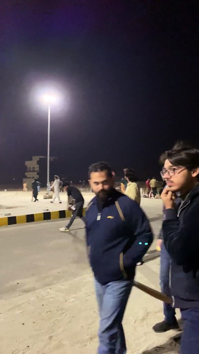 Night Cricket