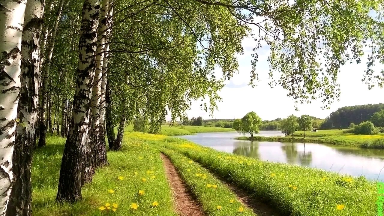 Anatoly Sem (Dinataley) – Russia (A. Dneprov)