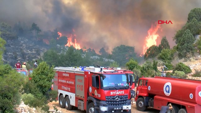 İhmal, dikkatsizlik, kasıt ve kaza... 2024'te 1956 orman yangını çıktı