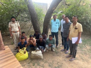 VIDEO: सरिस्का टाइगर रिजर्व क्षेत्र में 7 लोगों को पकड़ा, 30 किलोग्राम गुग्गुल गम जब्त