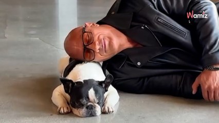 Dwayne Johnson : « The Rock » pleure la perte de son bouledogue français Hobbs