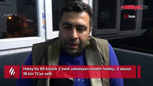 Amatör balıkçılar yakaladı! 65 kiloluk 2 balığı 18 bin TL'ye sattılar