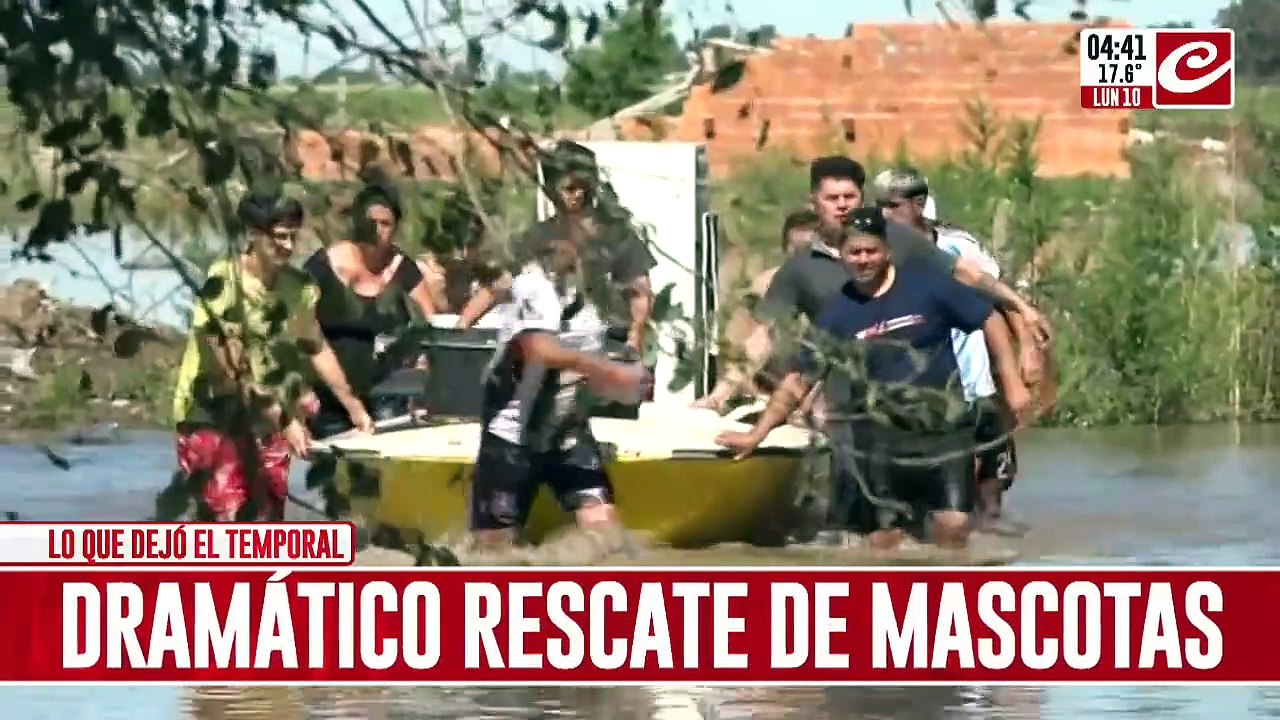 Bahía Blanca bajo en agua: el dramático rescate de decenas de mascotas