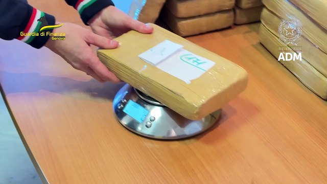 Maxi sequestro di cocaina al porto di Genova: 240 chili nascosti in mezzo al tonno in scatola