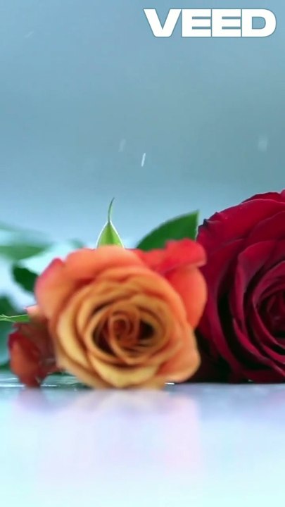 யோபின் புத்தகம்_ நம்பிக்கை மற்றும் சோதனைகள்-VEED