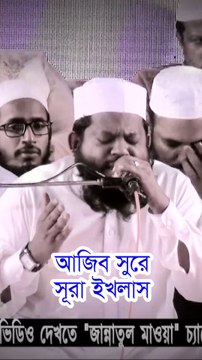আজিব সুরে সূরা ইখলাস তিলাওয়াত ক্বারী সাইদুল ইসলাম আসাদ Surah Ikhlas