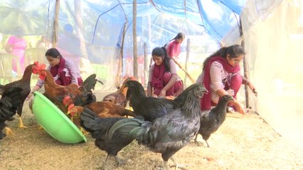 చదువుకుంటూ వ్యవసాయం