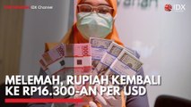 Melemah, Rupiah Kembali ke Rp16.300-an per USD